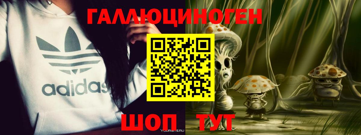 Черкесск  Галлюциногенные грибы GOLDEN TEACHER  Вход с VPN  Псилоцибиновые грибы Psilocybe 